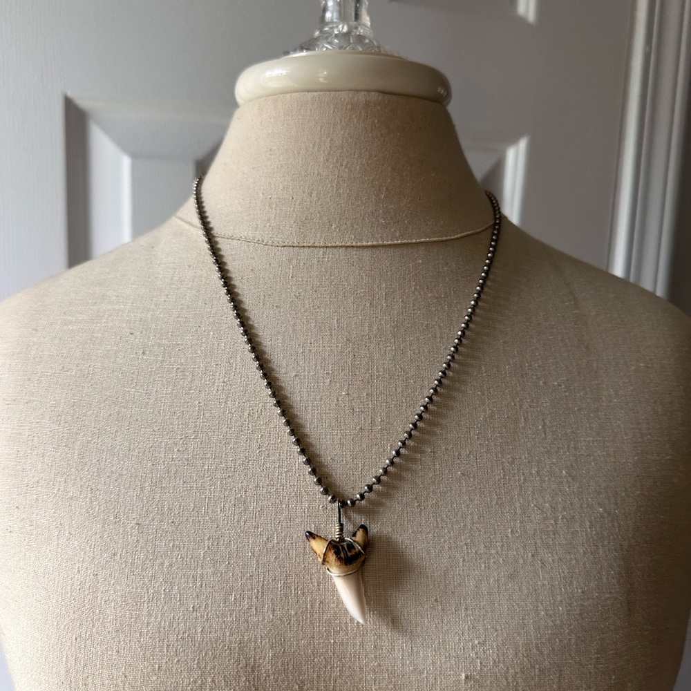 Shark Tooth Necklace